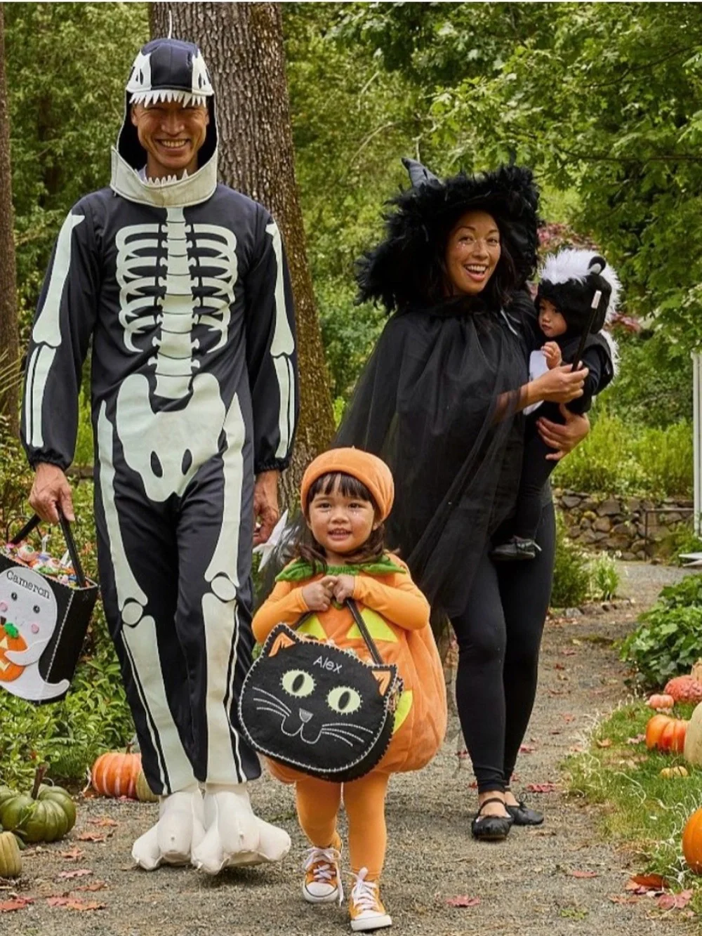 Pottery Barn Kids Skunk Costume - Picture 4 of 12